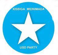 usdparty.org